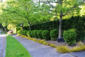 O'Brien Real Estate Featured Home Image